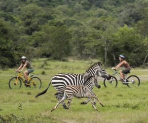 Cycling safaris at Lake Mburo National Park