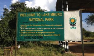 Lake Mburo National Park Uganda