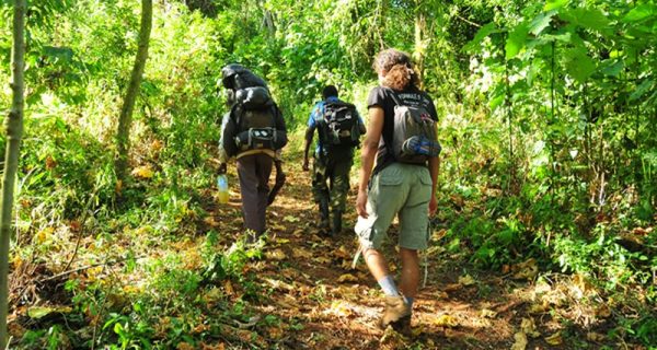 Nature Walks and day hikes in Mount Elgon National Park