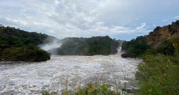 Save Murchison Falls - Murchison Falls National Park